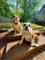 processed/817535cd-209d-4dac-b6c6-4a0228cc0e9a/facility/c344eedb-c6cf-44c5-8607-bf200ac4f708