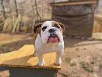 processed/817535cd-209d-4dac-b6c6-4a0228cc0e9a/facility/f1a8dda9-8db4-4fe4-82f9-b486c49e624d