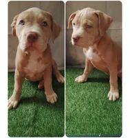 processed/817b52ea-9bd9-48c9-bb40-4524b2dbc9ef/listing/2d55fea1-2ceb-4cb7-b220-f9beac491191/65eb1768-398d-4eec-a136-230596c92135