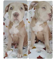 processed/817b52ea-9bd9-48c9-bb40-4524b2dbc9ef/listing/2d55fea1-2ceb-4cb7-b220-f9beac491191/7bdf320c-1e5e-4e00-845d-45e73459c2e5