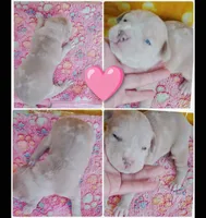 processed/817b52ea-9bd9-48c9-bb40-4524b2dbc9ef/listing/2d55fea1-2ceb-4cb7-b220-f9beac491191/c6b3aebe-5ed5-4972-967f-c79bbc897cb6