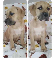 processed/817b52ea-9bd9-48c9-bb40-4524b2dbc9ef/listing/58119505-e89d-433b-896c-44a85a6272fb/2a9ab483-8e3a-4c66-bee0-1d2666525e9b