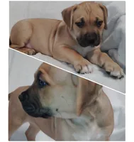 processed/817b52ea-9bd9-48c9-bb40-4524b2dbc9ef/listing/58119505-e89d-433b-896c-44a85a6272fb/5c44d78c-8c5b-4bf1-912f-06d5f746a6f2