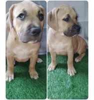 processed/817b52ea-9bd9-48c9-bb40-4524b2dbc9ef/listing/58119505-e89d-433b-896c-44a85a6272fb/d1bb13b7-0ccb-4ed7-b314-2bd9d5605a54