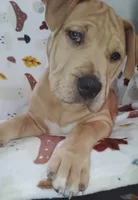 processed/817b52ea-9bd9-48c9-bb40-4524b2dbc9ef/listing/75ada4cb-588e-4d5b-bf0b-51f79ad3b04e/1b81dbbe-f5e2-430e-8ea2-27f520170d3a