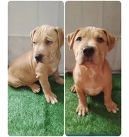 processed/817b52ea-9bd9-48c9-bb40-4524b2dbc9ef/listing/75ada4cb-588e-4d5b-bf0b-51f79ad3b04e/2f8ab407-52ac-4cdc-a681-4b8a1b559012