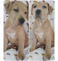 processed/817b52ea-9bd9-48c9-bb40-4524b2dbc9ef/listing/75ada4cb-588e-4d5b-bf0b-51f79ad3b04e/34693a69-64ab-4585-9eec-8e9eadf8e676