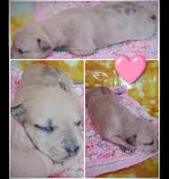 processed/817b52ea-9bd9-48c9-bb40-4524b2dbc9ef/listing/75ada4cb-588e-4d5b-bf0b-51f79ad3b04e/3a7cc694-34f9-4059-8ae8-db31b17c476d