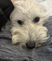 processed/81843da0-43a4-425c-a031-fe5dd6358a16/listing/5514364a-e8ae-41db-9cb6-f85fbb9d65f7/2ad69281-e668-4802-bd85-4d591f99bd2b