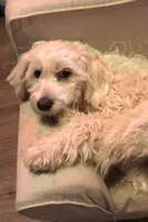 processed/81843da0-43a4-425c-a031-fe5dd6358a16/listing/5514364a-e8ae-41db-9cb6-f85fbb9d65f7/44dac26c-8d19-4f24-a997-52c5152ad0a0