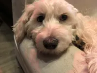 processed/81843da0-43a4-425c-a031-fe5dd6358a16/listing/5514364a-e8ae-41db-9cb6-f85fbb9d65f7/5443b560-62d8-459f-a2d9-4c67f191c69d