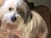 processed/81843da0-43a4-425c-a031-fe5dd6358a16/listing/59ddf37a-6555-4baa-b207-4f724e55f787/3f9ff343-de9a-4fe8-b544-25b0372fb44a