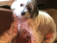 processed/81843da0-43a4-425c-a031-fe5dd6358a16/listing/59ddf37a-6555-4baa-b207-4f724e55f787/5fa66a9a-7737-44c2-936b-96873828e1e2