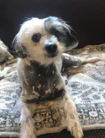 processed/81843da0-43a4-425c-a031-fe5dd6358a16/listing/59ddf37a-6555-4baa-b207-4f724e55f787/73ef2c04-c9fb-4029-b1df-a87f381f04a3