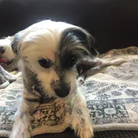 processed/81843da0-43a4-425c-a031-fe5dd6358a16/listing/59ddf37a-6555-4baa-b207-4f724e55f787/b7a8777c-1e94-4898-82f8-95597bfd022c