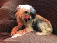 processed/81843da0-43a4-425c-a031-fe5dd6358a16/listing/59ddf37a-6555-4baa-b207-4f724e55f787/d60ffe01-349d-4c1c-baef-43c3d43a7010