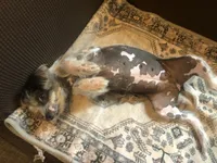 processed/81843da0-43a4-425c-a031-fe5dd6358a16/listing/59ddf37a-6555-4baa-b207-4f724e55f787/deee905d-a7a2-41f6-9dec-531422af0d23