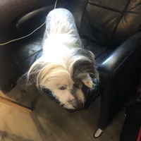 processed/81843da0-43a4-425c-a031-fe5dd6358a16/listing/59ddf37a-6555-4baa-b207-4f724e55f787/df6910f0-6c13-4084-9db2-44ab3fea652b