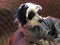 processed/81843da0-43a4-425c-a031-fe5dd6358a16/listing/9db60ed9-3189-47e6-9340-b85c2952f0e6/6735cddf-391a-4a0e-95c5-4a63e893974f