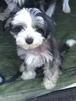 processed/81843da0-43a4-425c-a031-fe5dd6358a16/listing/9db60ed9-3189-47e6-9340-b85c2952f0e6/8474201b-669b-4871-9288-3fca1f1bdba5