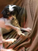 processed/81843da0-43a4-425c-a031-fe5dd6358a16/listing/ab984ab2-9010-4799-b775-2c233b10c9b0/b495c6fb-5408-4380-81d9-7cd82de2e065