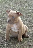 processed/81981187-51b4-49ea-9b44-41949a38ac0d/listing/b9de6109-9551-4531-b951-87b1309426de/8e3e0209-a348-483f-92c8-b49da6799a9d