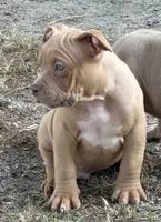 processed/81981187-51b4-49ea-9b44-41949a38ac0d/listing/b9de6109-9551-4531-b951-87b1309426de/9b7e4829-7d5d-42f9-8940-fe0408e31691