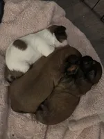 processed/81c44f54-adec-4d6c-95b7-444da7477718/facility/20ca3fdf-917e-4b55-9594-d721bace48dd