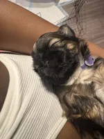 processed/81c44f54-adec-4d6c-95b7-444da7477718/facility/6ec4fa68-306c-42be-8b23-a9249ec8ec79