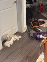 processed/81c44f54-adec-4d6c-95b7-444da7477718/facility/70f69af1-6494-47be-8383-5c87cb8d5aad