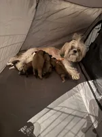 processed/81c44f54-adec-4d6c-95b7-444da7477718/facility/fc099e2c-2814-482a-b6cd-b5cf2c668f7f