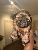 processed/81c44f54-adec-4d6c-95b7-444da7477718/listing/30562875-c25b-4765-8a98-08f1c650df45/50331633-a70e-45b4-a0ac-1df917d1295c