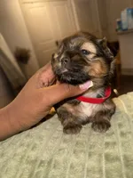 processed/81c44f54-adec-4d6c-95b7-444da7477718/listing/30562875-c25b-4765-8a98-08f1c650df45/7b7c9ddc-c0f2-478e-8d30-aeaab42125f0