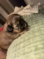 processed/81c44f54-adec-4d6c-95b7-444da7477718/listing/30562875-c25b-4765-8a98-08f1c650df45/afe8ac27-221e-4b73-a82d-71f94d769886