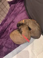 processed/81c44f54-adec-4d6c-95b7-444da7477718/listing/30562875-c25b-4765-8a98-08f1c650df45/b0ec703d-549b-4072-b836-2341b4dac7ca