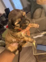 processed/81c44f54-adec-4d6c-95b7-444da7477718/listing/30562875-c25b-4765-8a98-08f1c650df45/fee68985-b256-48e4-b04a-57ae809941bb