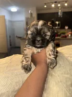 processed/81c44f54-adec-4d6c-95b7-444da7477718/listing/426664a2-1837-41a9-9ba7-7115d34c31b0/6df75e0a-57ef-4e3a-aef7-69db838e7bba