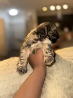 processed/81c44f54-adec-4d6c-95b7-444da7477718/listing/426664a2-1837-41a9-9ba7-7115d34c31b0/94fa8196-4ac2-4902-8fd6-5147c785ce2e