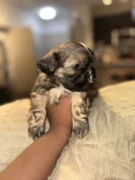 processed/81c44f54-adec-4d6c-95b7-444da7477718/listing/426664a2-1837-41a9-9ba7-7115d34c31b0/a6c47dc4-c337-4f24-aeb3-45fd4d7d5768