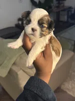 processed/81c44f54-adec-4d6c-95b7-444da7477718/listing/912bb98d-571c-46b2-8752-464b0feb7e52/3ce02bf8-9f91-4280-8b7a-cb2f126d8f37