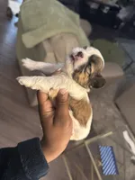 processed/81c44f54-adec-4d6c-95b7-444da7477718/listing/912bb98d-571c-46b2-8752-464b0feb7e52/89dd1d3b-0566-4700-82cf-ef688cfe2fb9