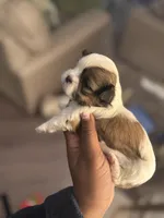 processed/81c44f54-adec-4d6c-95b7-444da7477718/listing/912bb98d-571c-46b2-8752-464b0feb7e52/d206556e-a628-4824-a9e5-a0823c5bed83