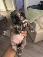 processed/81c44f54-adec-4d6c-95b7-444da7477718/listing/e75409c3-587b-4921-a13d-9618955db66c/1c26bb36-f9f2-4864-ae58-5f9fba3fd42d