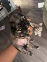 processed/81c44f54-adec-4d6c-95b7-444da7477718/listing/e75409c3-587b-4921-a13d-9618955db66c/2159f472-3b42-49c2-b67c-ea7cb2a93c03