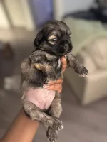 processed/81c44f54-adec-4d6c-95b7-444da7477718/listing/e75409c3-587b-4921-a13d-9618955db66c/6a2f4693-4bdc-48c8-882f-207a0f310d5e