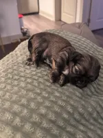 processed/81c44f54-adec-4d6c-95b7-444da7477718/listing/e75409c3-587b-4921-a13d-9618955db66c/a7d913c2-18a9-4eb4-917b-ee6d23dd15a6