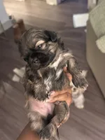 processed/81c44f54-adec-4d6c-95b7-444da7477718/listing/e75409c3-587b-4921-a13d-9618955db66c/cb71cfa1-da60-41eb-b851-9bb4aa2fc8f5