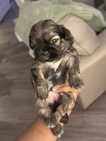 processed/81c44f54-adec-4d6c-95b7-444da7477718/listing/e75409c3-587b-4921-a13d-9618955db66c/f62dc589-d05d-47a3-9698-0e0ecabc802b