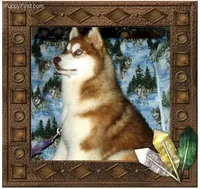 Anthony S, a male Siberian Husky for sale in Flagstaff, AZ – Photo 3 of 5