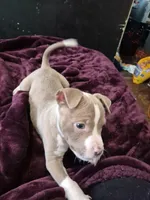 processed/81cd0660-c59c-4170-ab1b-8b8c0918cba1/listing/cca58162-8727-4997-94f4-eed94c8fcaf3/58fc0699-3a91-4a25-8285-0382bf742cbc